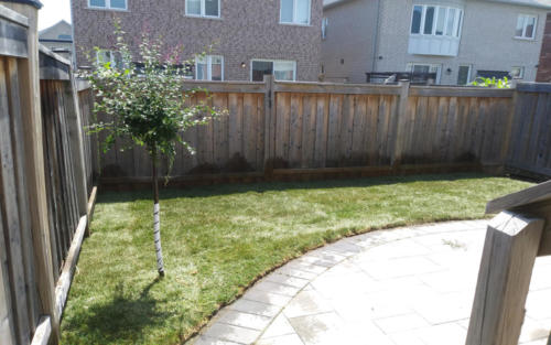 backyard patio sod after