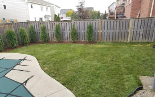 backyard pool sod grading