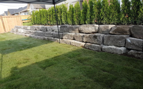 backyard retaining wall sod after