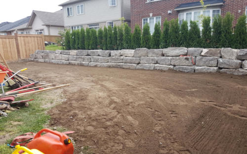 backyard retaining wall sod before