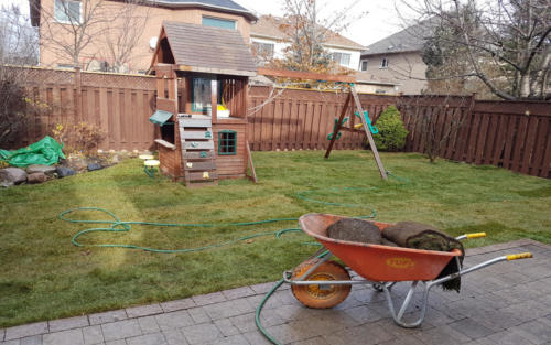 backyard sod play gym
