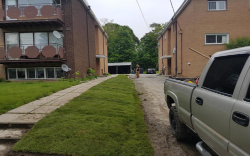commercial sod installation