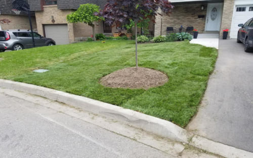 front entrance sod grading after