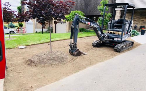 front entrance sod grading before 3